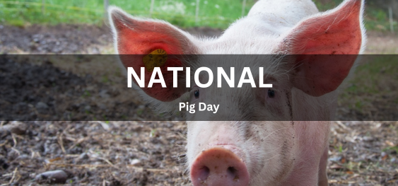 National Pig Day  [राष्ट्रीय सुअर दिवस]